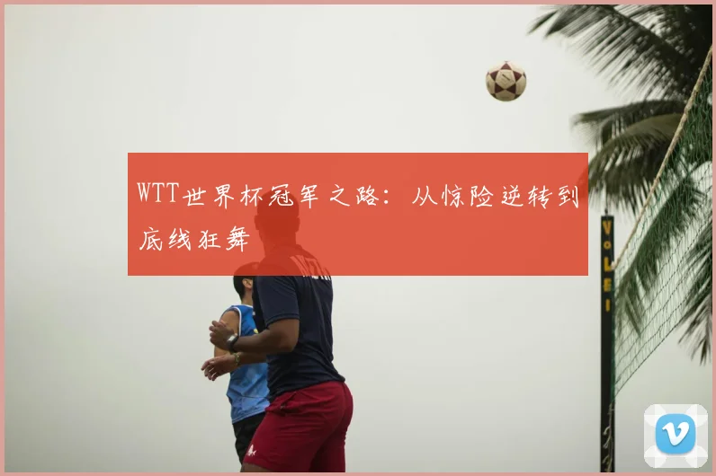 WTT世界杯冠军之路：从惊险逆转到底线狂舞