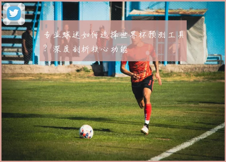 专业球迷如何选择世界杯预测工具?深度剖析核心功能