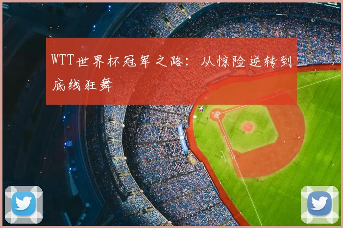 WTT世界杯冠军之路：从惊险逆转到底线狂舞