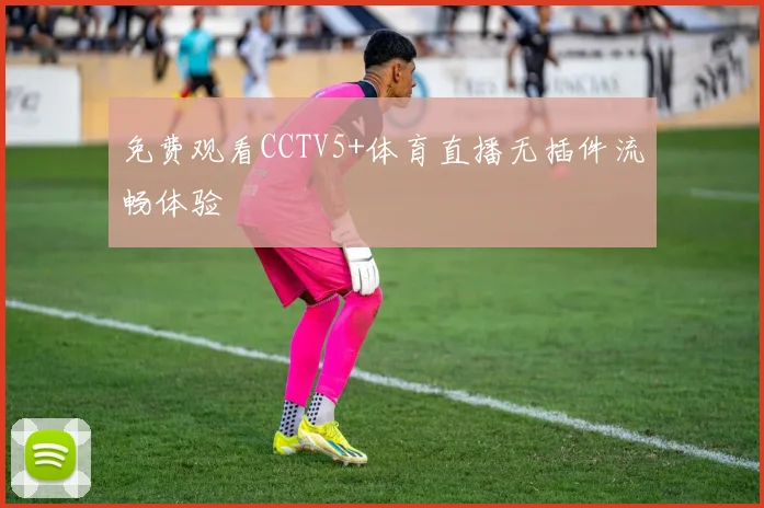 免费观看CCTV5+体育直播无插件流畅体验