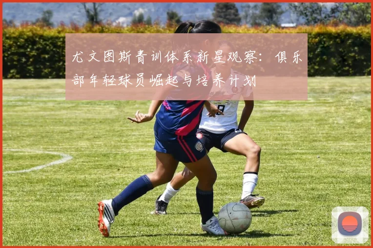尤文图斯青训体系新星观察：俱乐部年轻球员崛起与培养计划